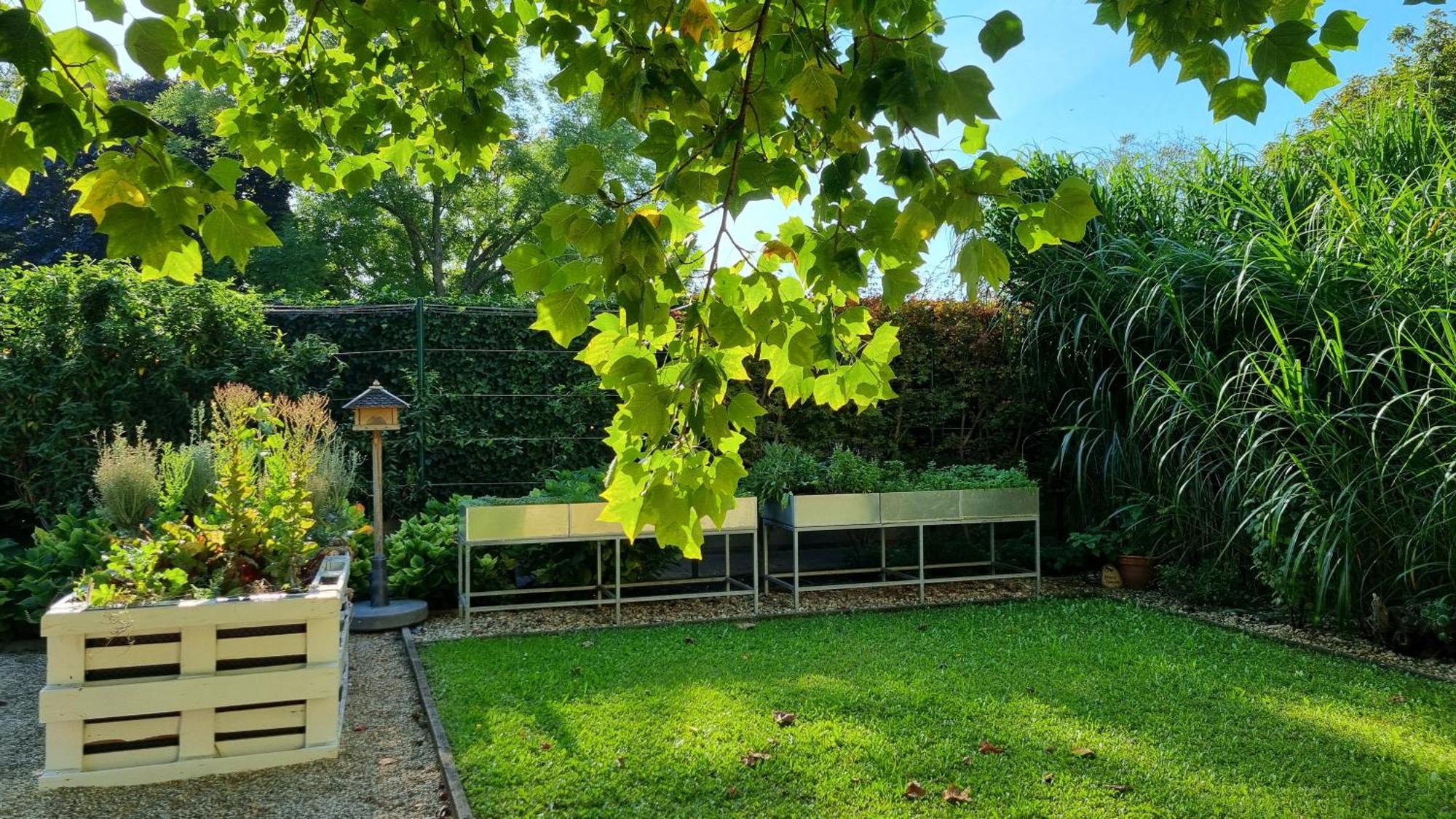 Birkenhof - Landhotel&Restaurant Gols Buitenkant foto